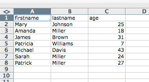 screenshot showing data in Excel colums